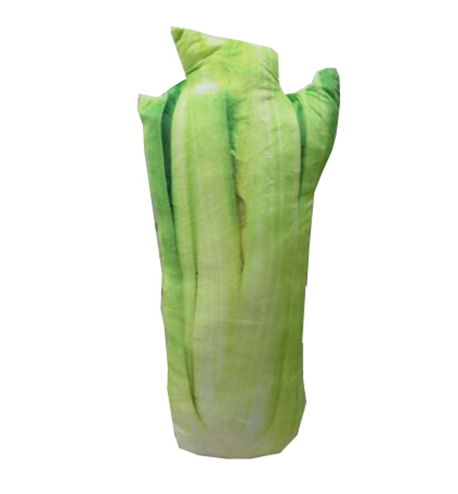 Creative Plush Toy Simulation Vegetables Pillow Cushion 20" (Celery)