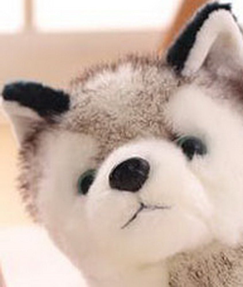 Super Cute Simulation Husky Doll Plush Toy Children Birthday Gift Puppy Doll Toy